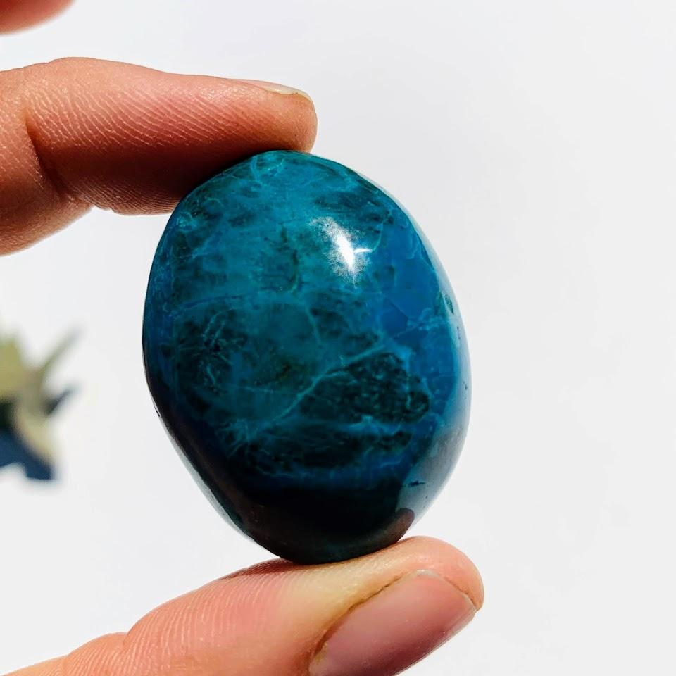 Vibrant Colors Chrysocolla Palm Stone #2 - Earth Family Crystals