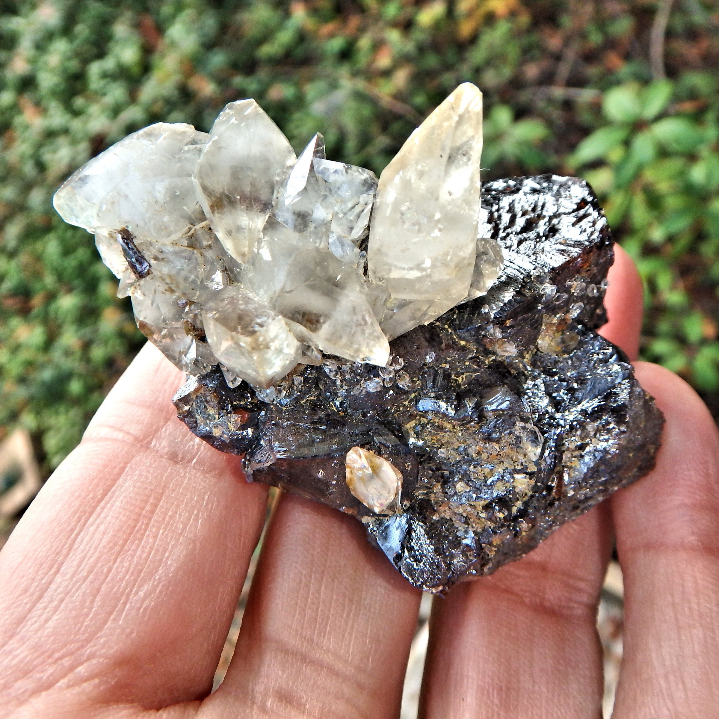 Perfect Points Golden Elmwood Mine Calcite on Burgundy Sphalerite Matrix Collectors Specimen - Earth Family Crystals