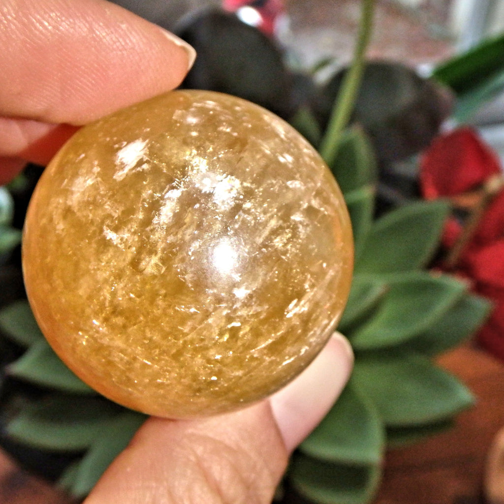 Golden Sunshine Orb Calcite Sphere Carving 2 - Earth Family Crystals