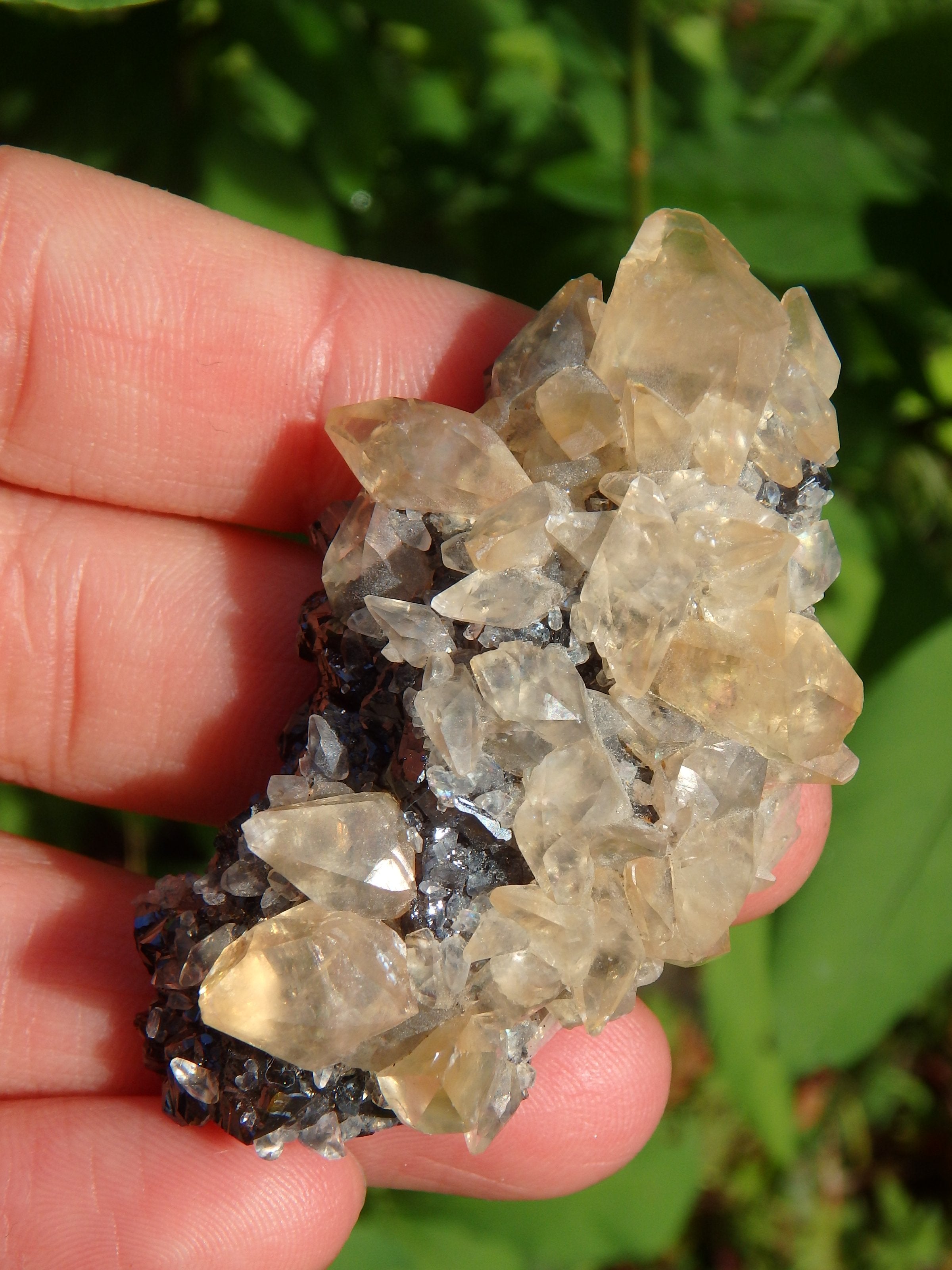Famous Elmwood Mine Golden DT Calcite on Ruby Sphalerite Matrix - Earth Family Crystals