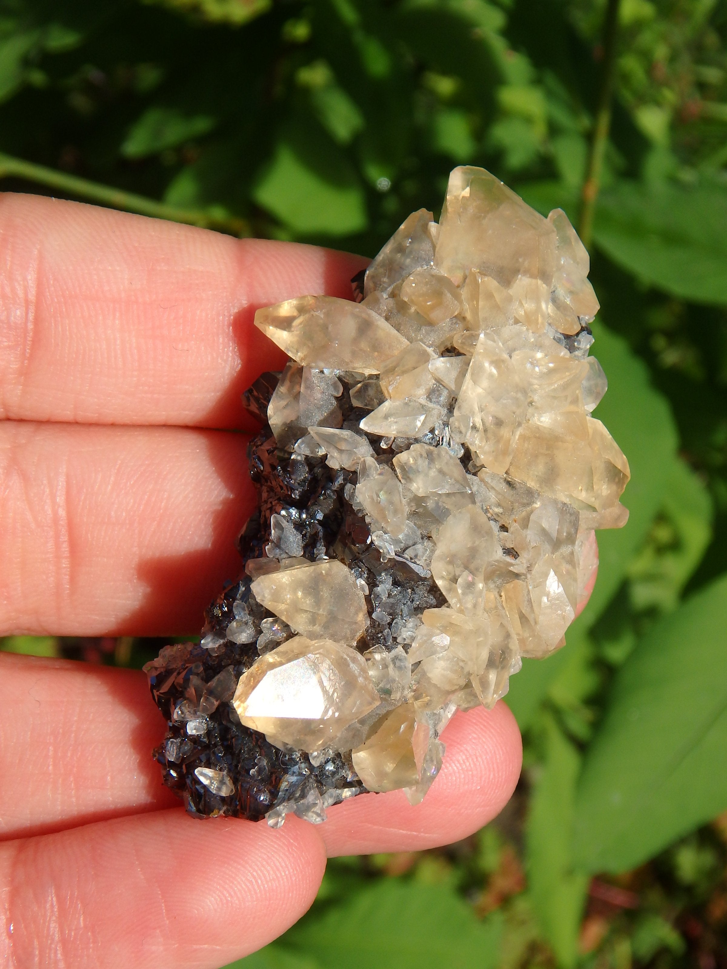 Famous Elmwood Mine Golden DT Calcite on Ruby Sphalerite Matrix - Earth Family Crystals