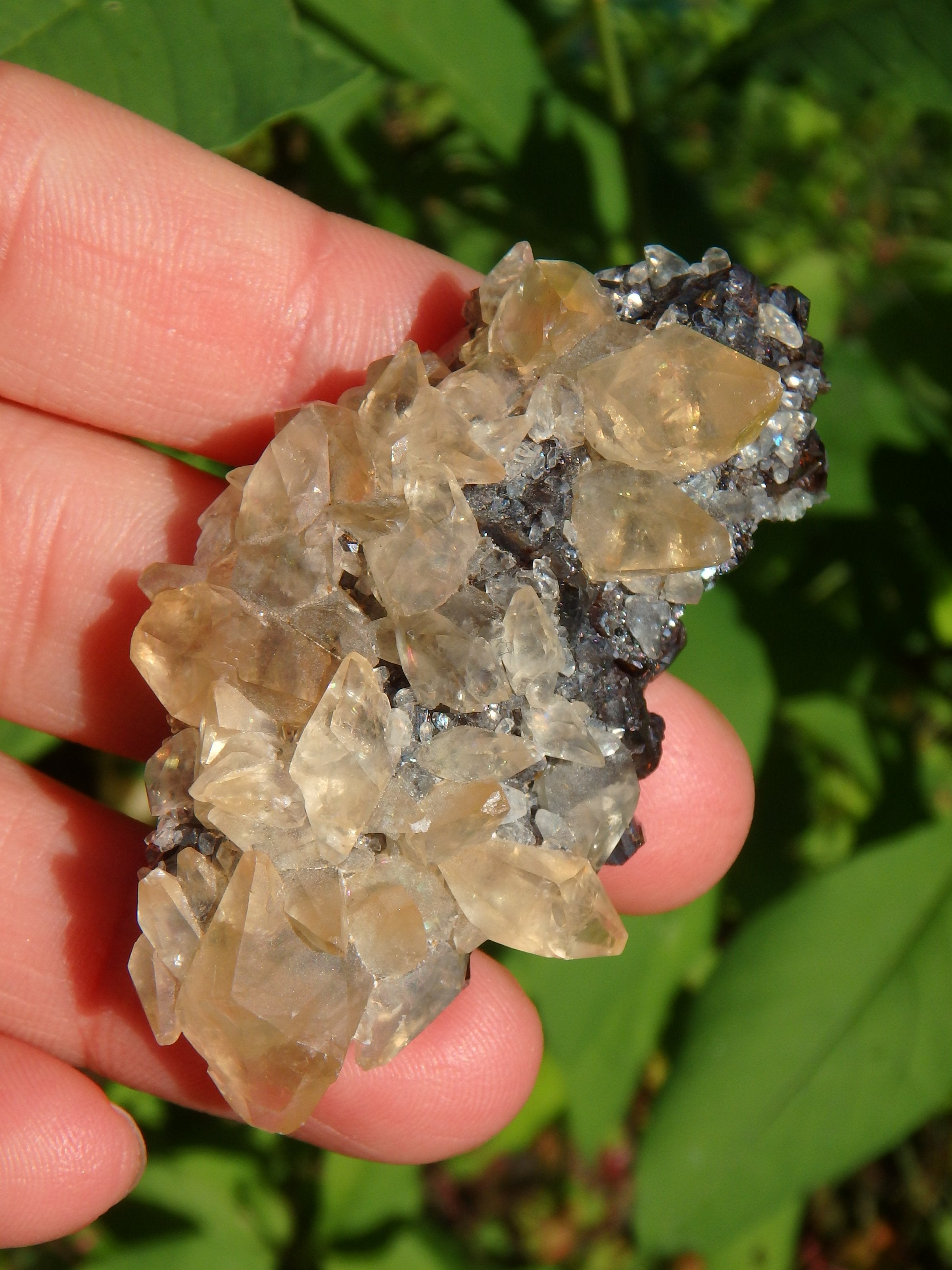 Famous Elmwood Mine Golden DT Calcite on Ruby Sphalerite Matrix - Earth Family Crystals