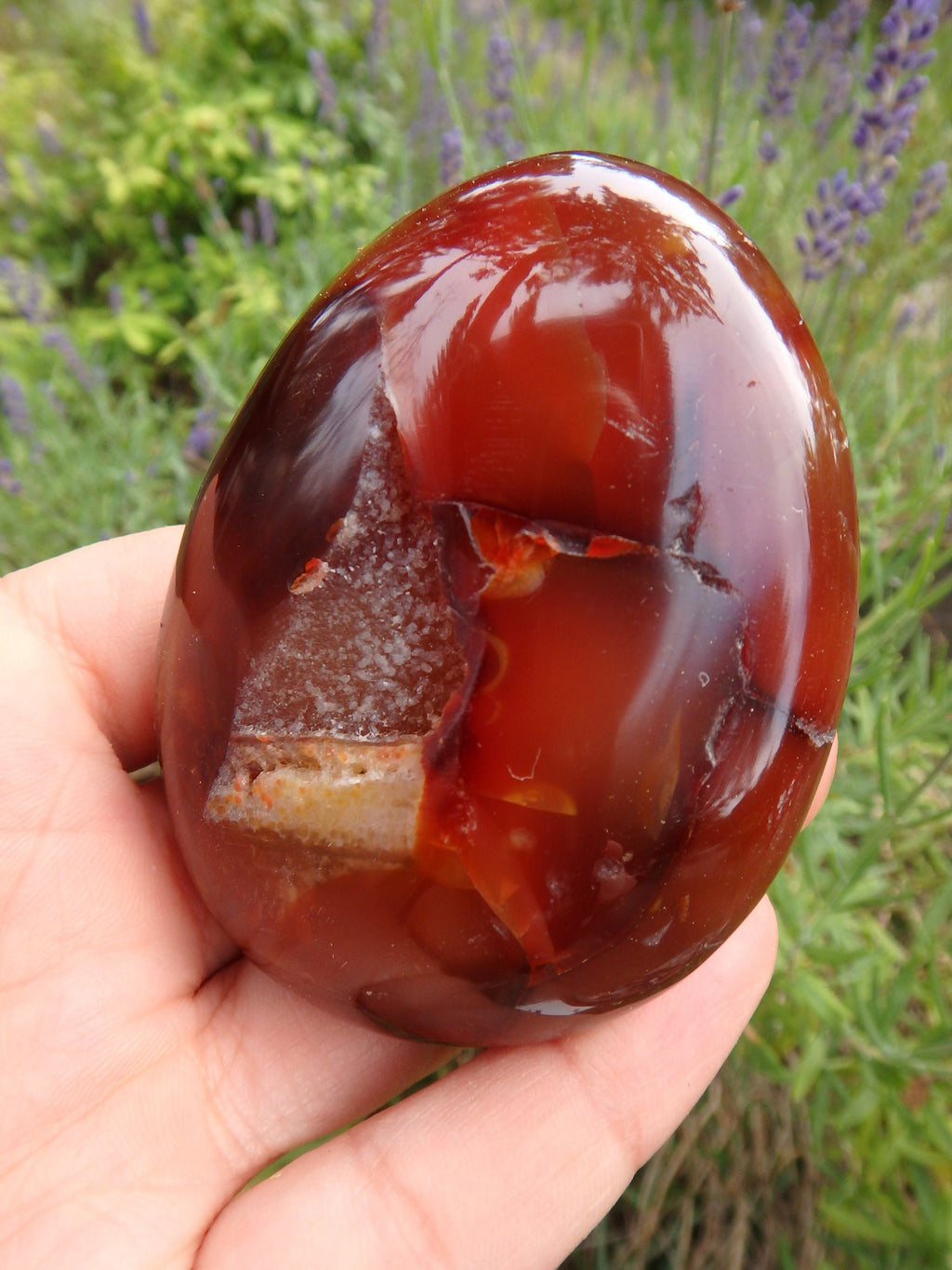 Deep Sparkling Druzy Cave Carnelian Polished Specimen - Earth Family Crystals