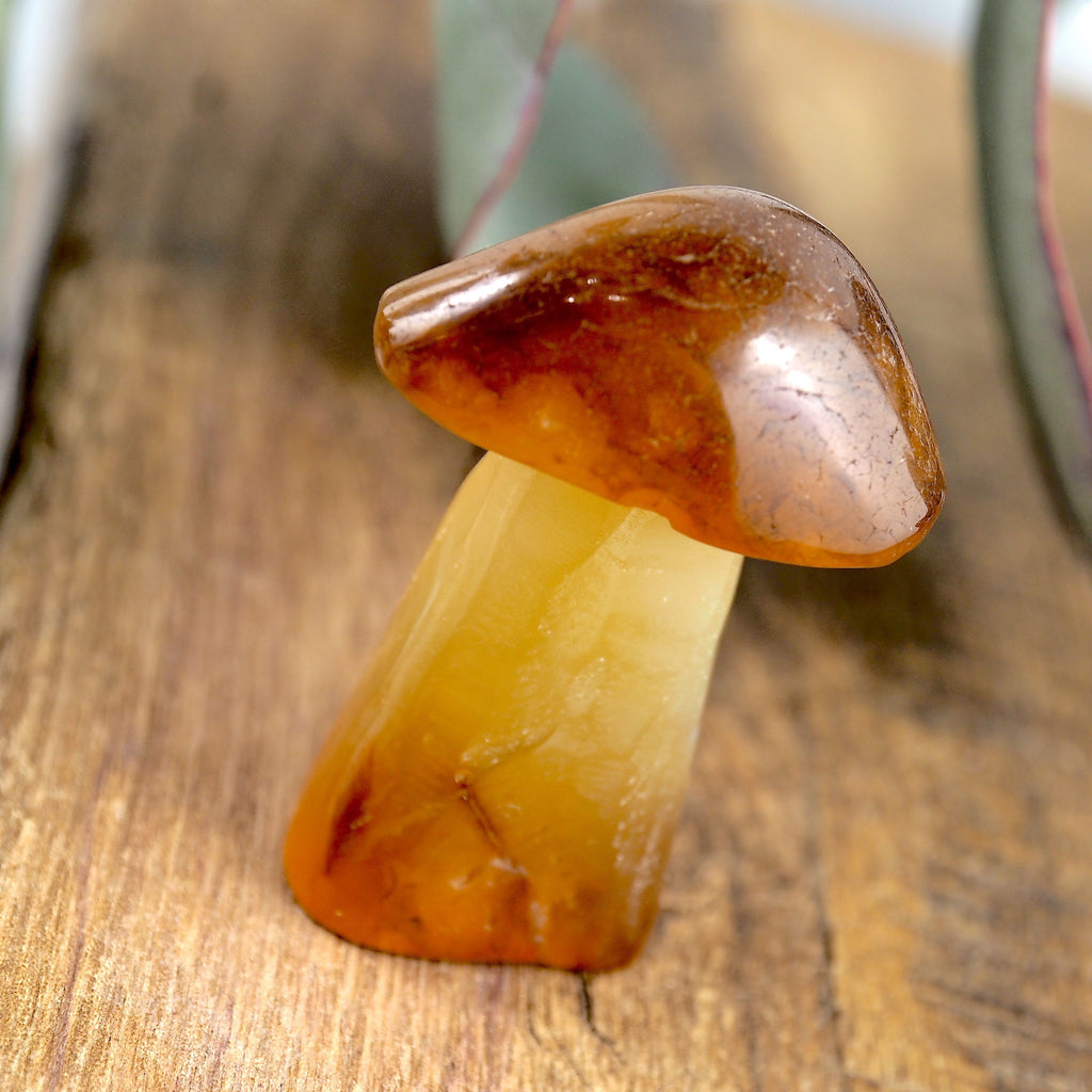 Fire Orange Carnelian Mushroom Standing Carving #2 - Earth Family Crystals