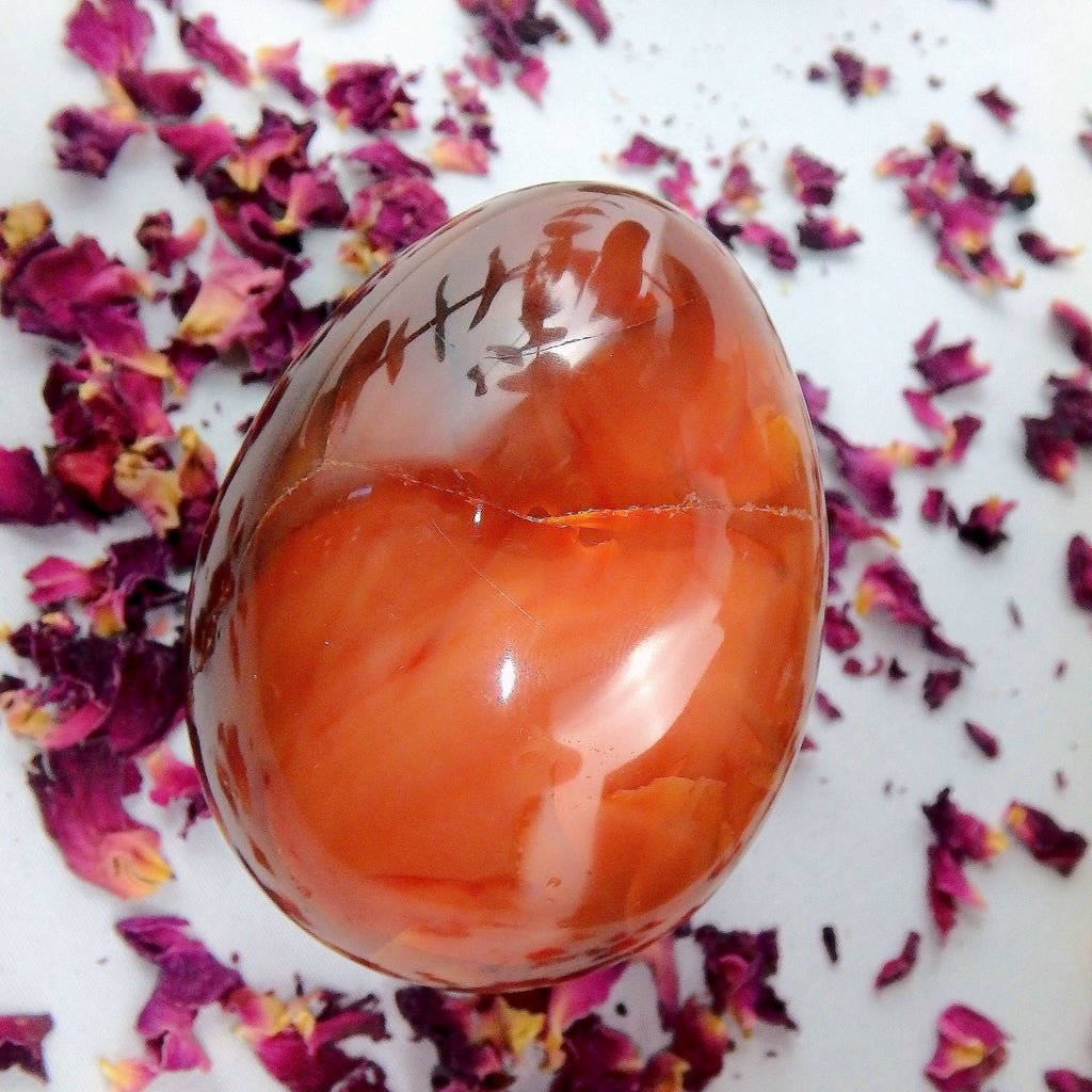 Deep Fire Orange Carnelian Egg Carving #1 - Earth Family Crystals
