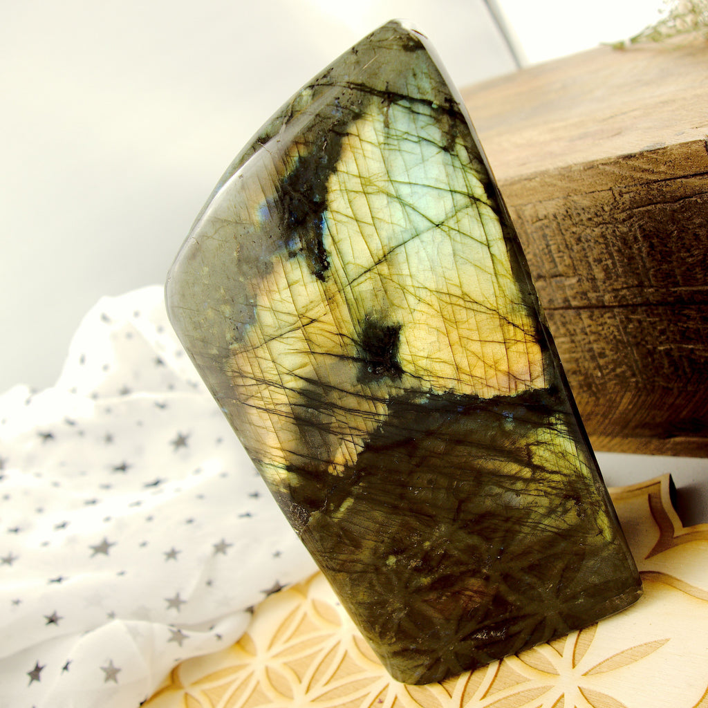 Flashy Sea Foam Green & Golden Flashes Large Labradorite Standing Display Specimen - Earth Family Crystals