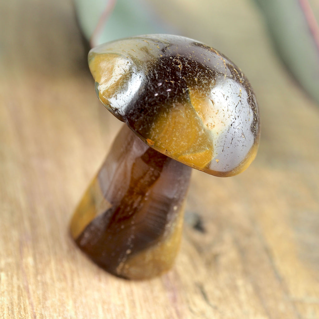 Fire Orange Carnelian Mushroom Standing Carving #3 - Earth Family Crystals
