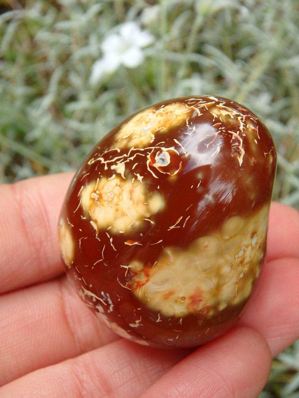 Cute Fire Orange Carnelian Hand Held Polished Stone From Madagascar 1 - Earth Family Crystals