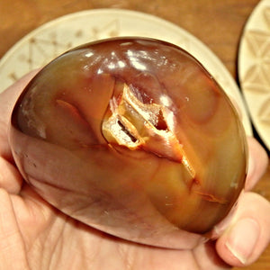 Druzy Cave Deep Orange & Golden Polished Carnelian Specimen - Earth Family Crystals