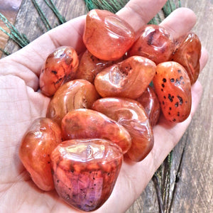 Set of 2 ~ Chunky Carnelian Polished Pocket Tumbled Stones~ Perfect for Sacral Chakra Support