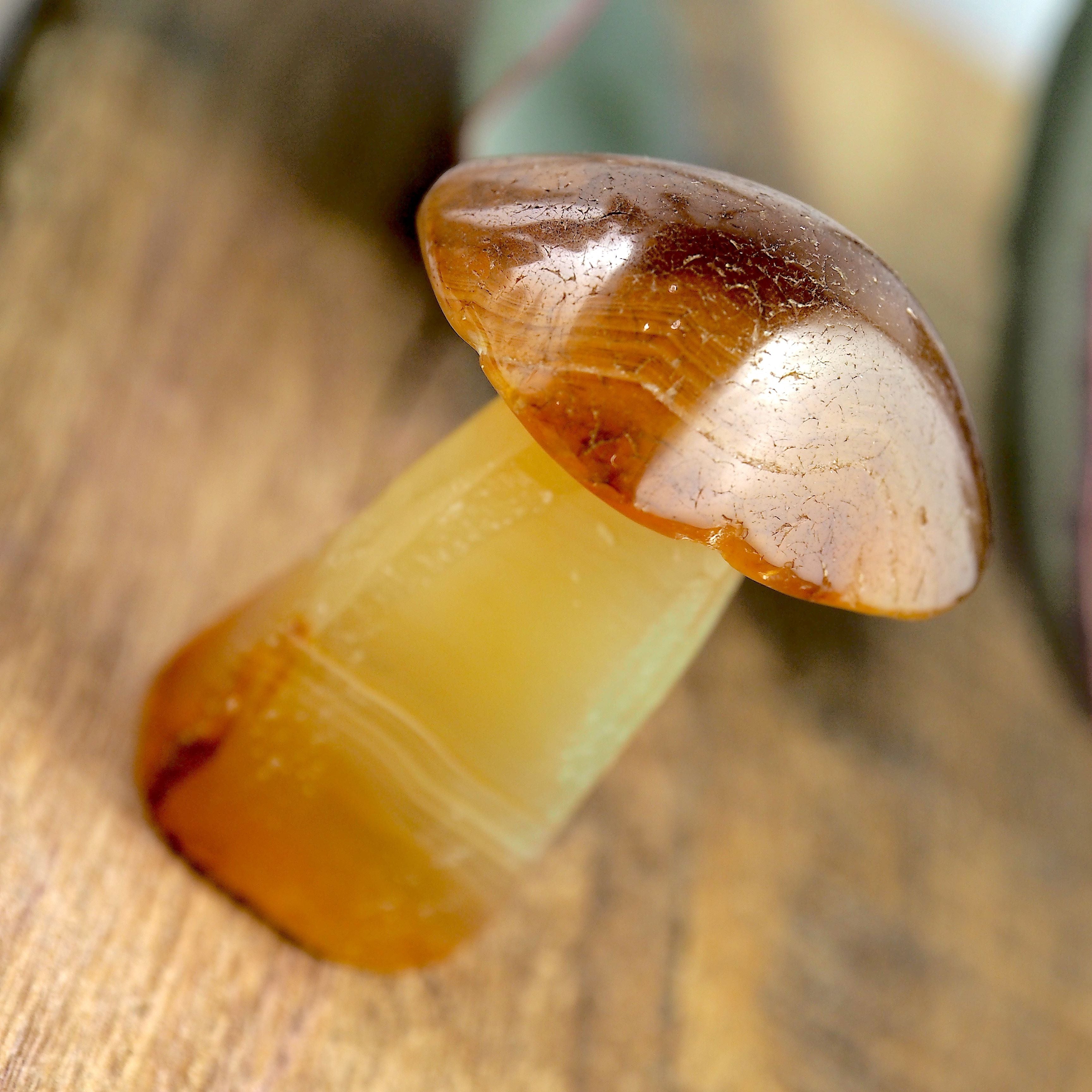 Fire Orange Carnelian Mushroom Standing Carving #2 - Earth Family Crystals