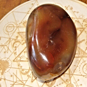 Druzy Cave Deep Orange & Golden Polished Carnelian Specimen - Earth Family Crystals