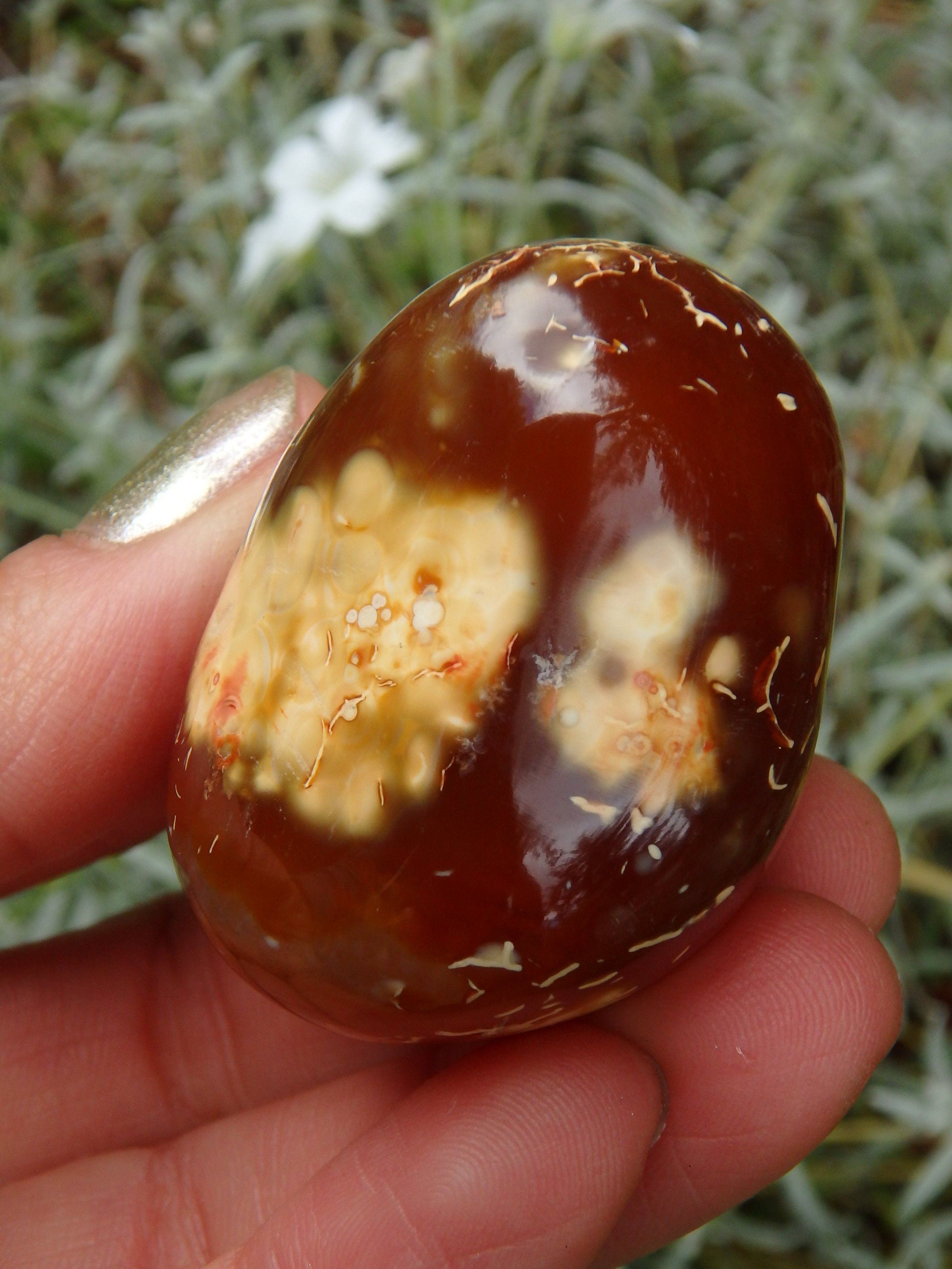 Cute Fire Orange Carnelian Hand Held Polished Stone From Madagascar 1 - Earth Family Crystals