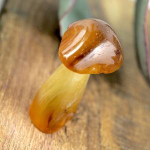 Fire Orange Carnelian Mushroom Standing Carving #2 - Earth Family Crystals