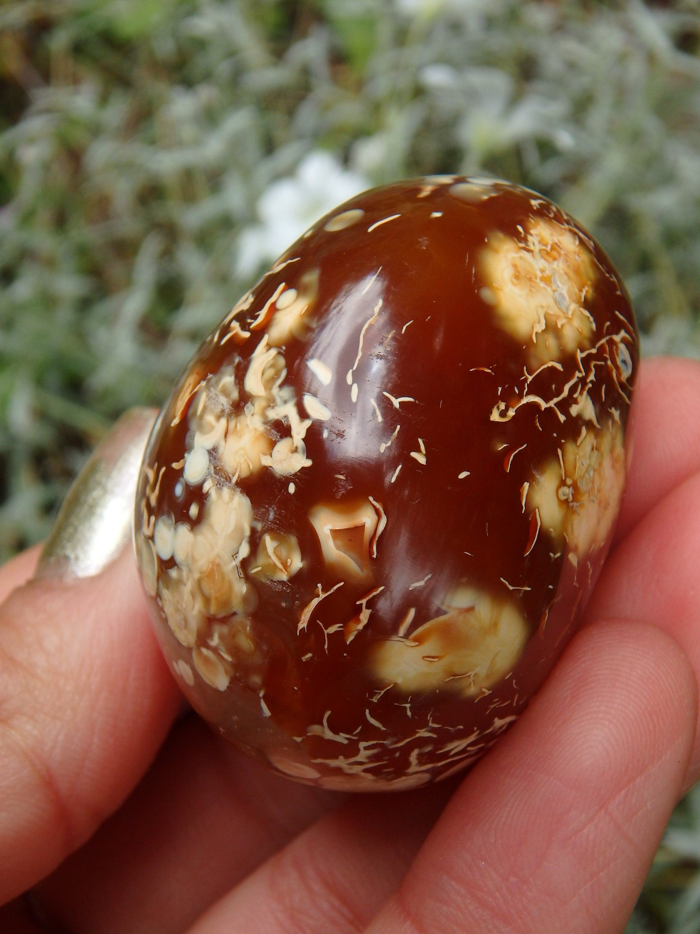 Cute Fire Orange Carnelian Hand Held Polished Stone From Madagascar 1 - Earth Family Crystals