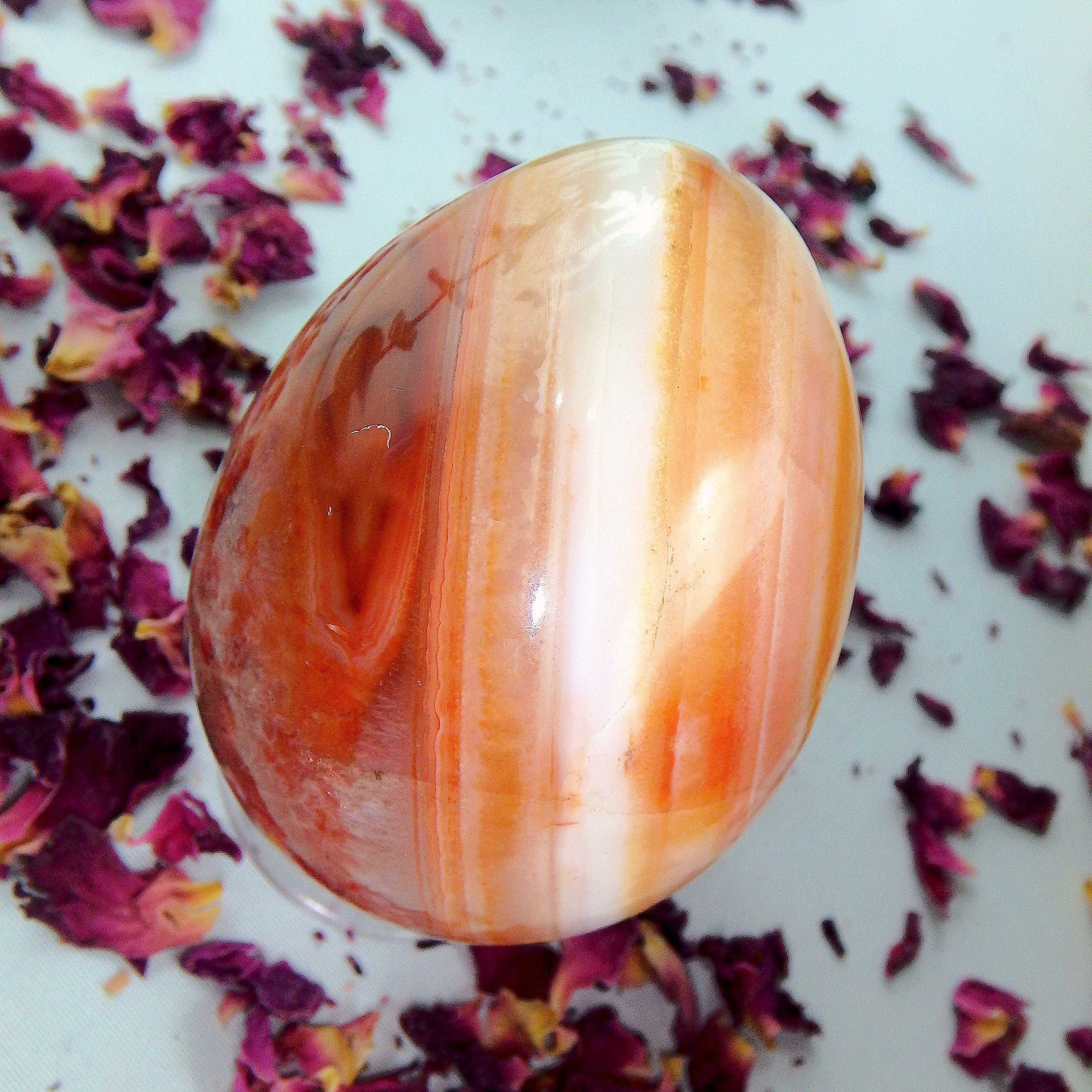 Fabulous Orange & White Patterns & Contrast Carnelian Egg Carving - Earth Family Crystals