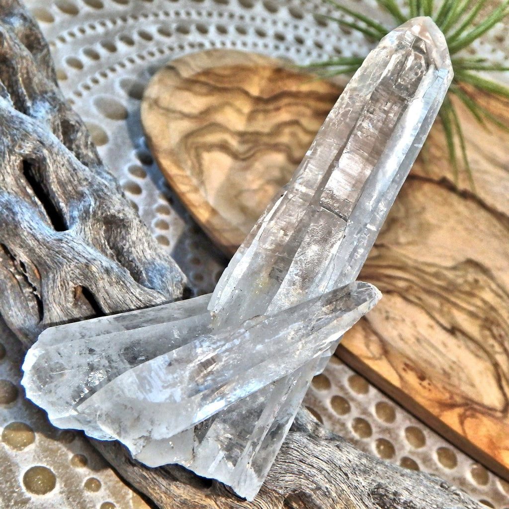 Cleansed Emotions Cathedral Laser Points Cluster From Brazil - Earth Family Crystals