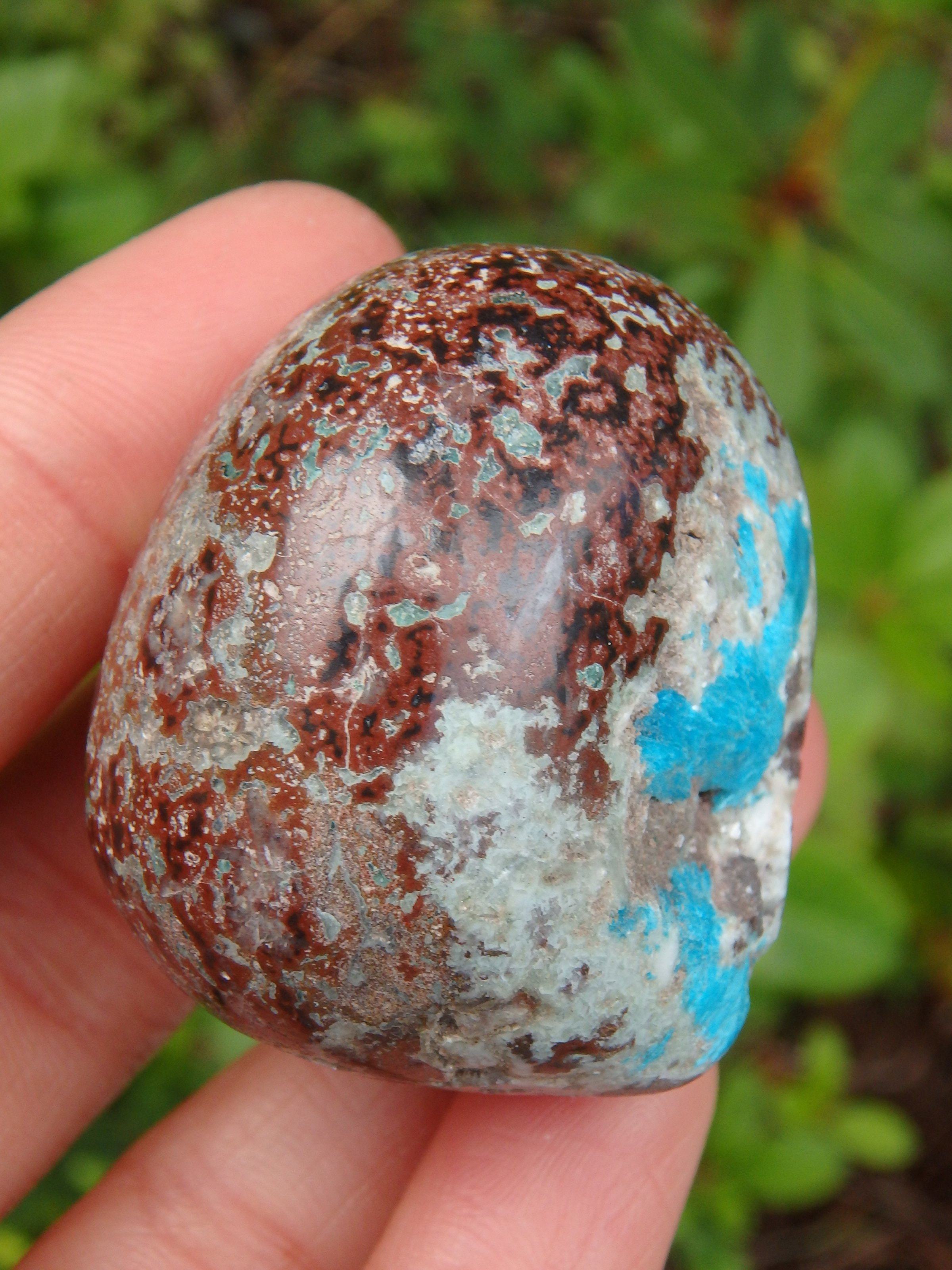 Electric Blue Cavansite in Partially Polished Matrix Palm Stone From India 2 - Earth Family Crystals