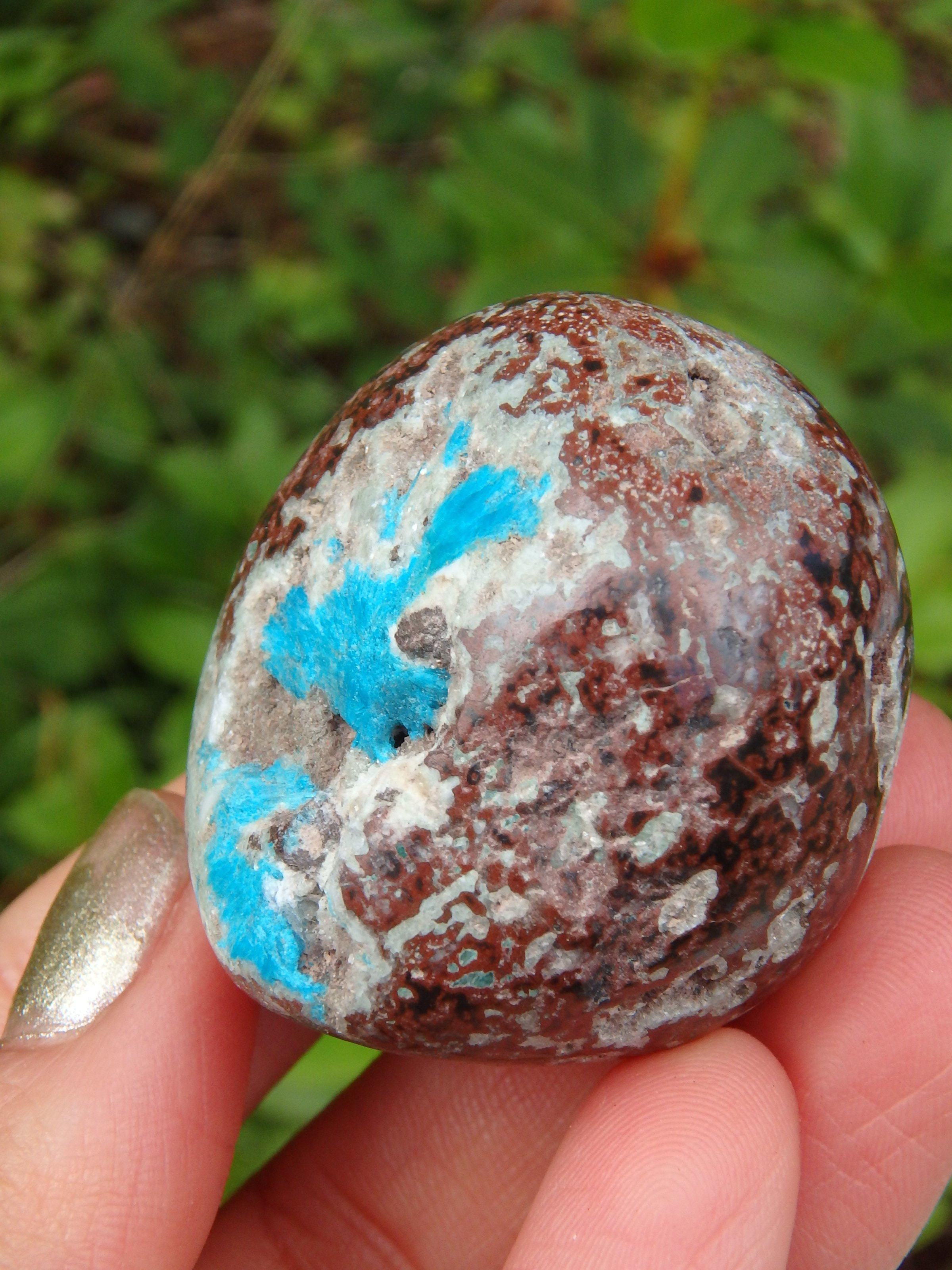 Electric Blue Cavansite in Partially Polished Matrix Palm Stone From India 2 - Earth Family Crystals