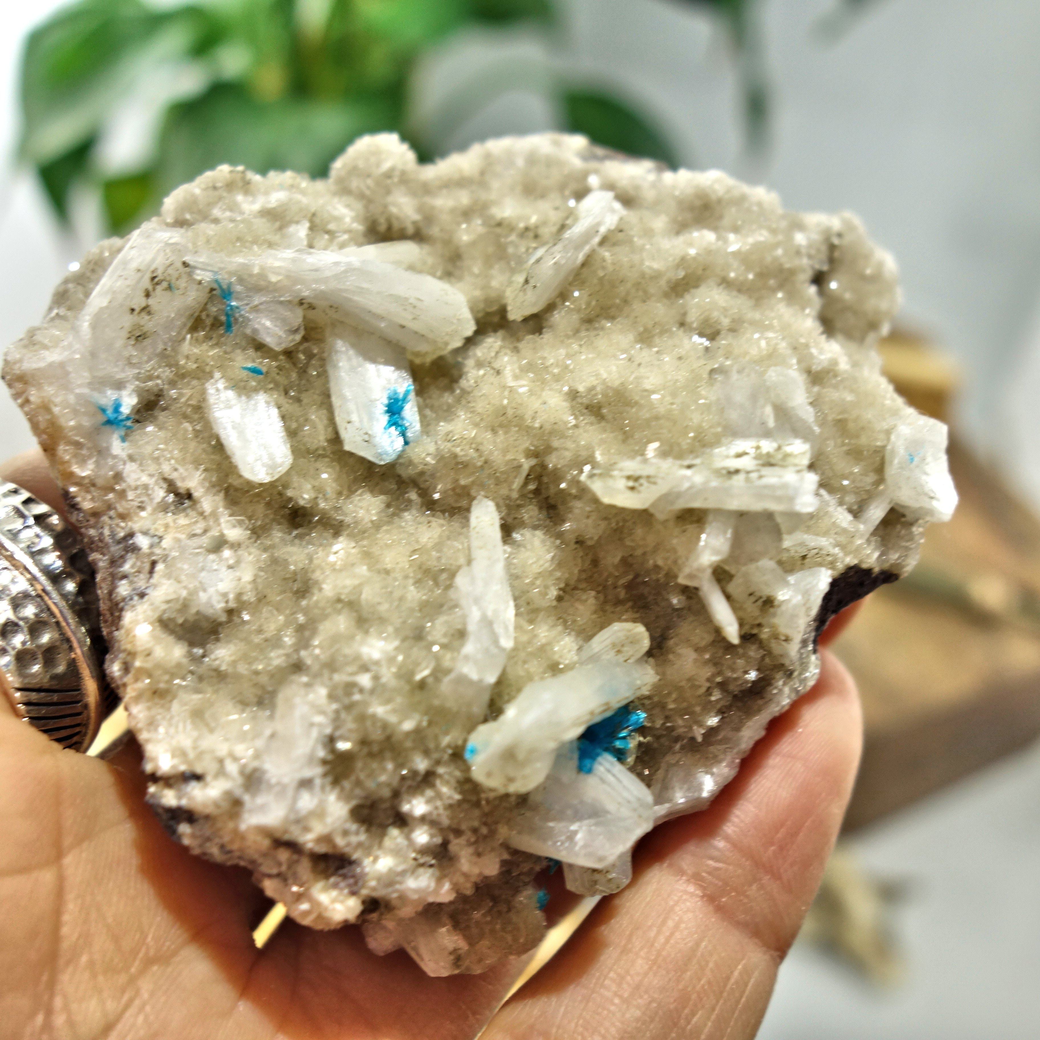 Electric Blue Cavansite Flowers Nestled on Shimmering Heulandite Matrix From India - Earth Family Crystals