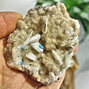 Electric Blue Cavansite Flowers Nestled on Shimmering Heulandite Matrix From India - Earth Family Crystals
