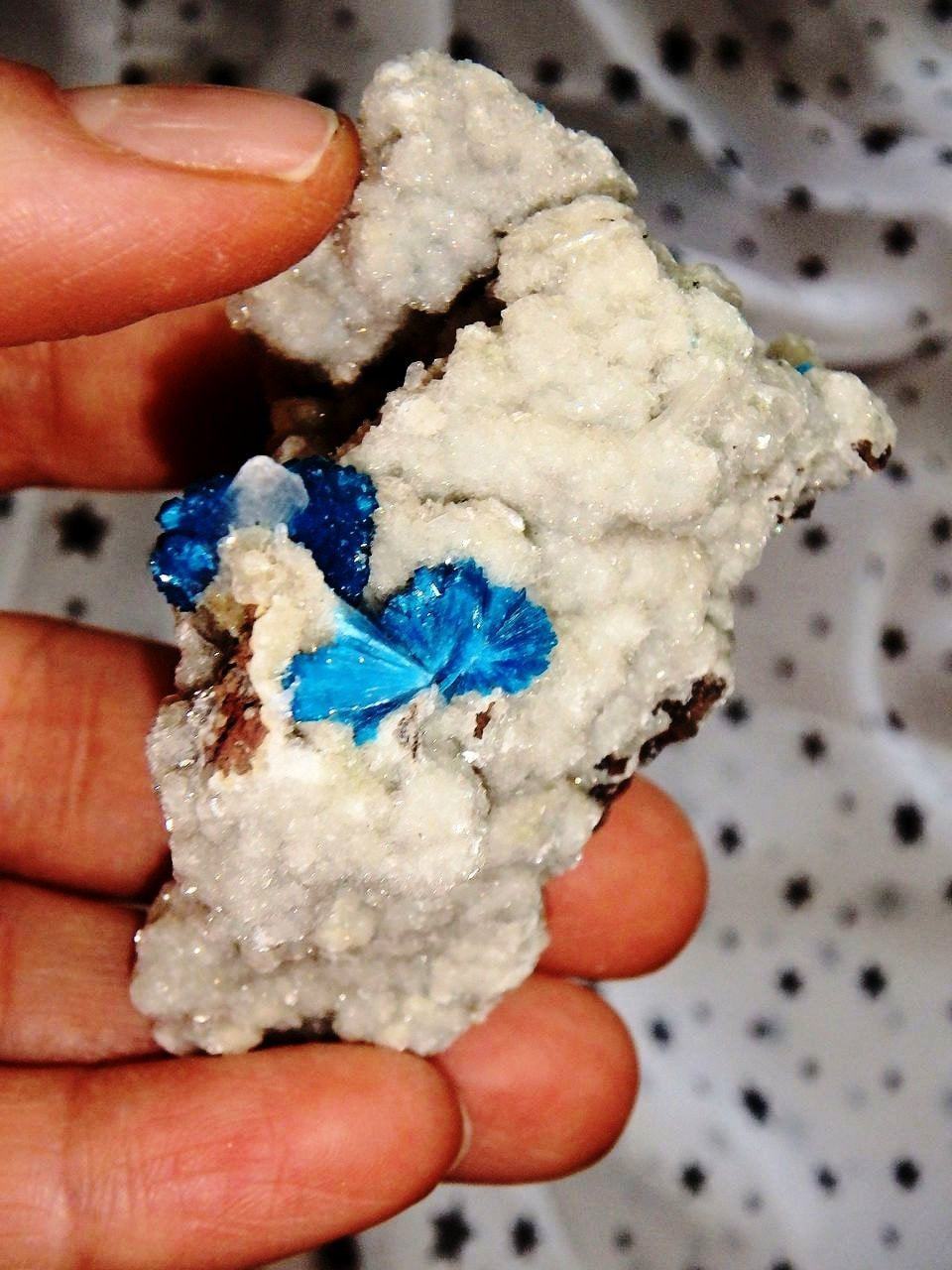 Amazing Electric Blue Cavansite Clusters on Sparkly Druzy Matrix From India - Earth Family Crystals