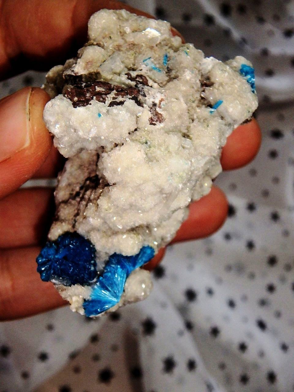 Amazing Electric Blue Cavansite Clusters on Sparkly Druzy Matrix From India - Earth Family Crystals