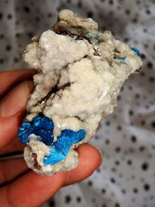 Amazing Electric Blue Cavansite Clusters on Sparkly Druzy Matrix From India - Earth Family Crystals