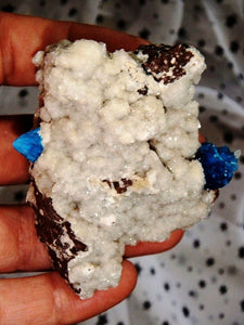 Amazing Electric Blue Cavansite Clusters on Sparkly Druzy Matrix From India - Earth Family Crystals