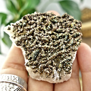 Shimmering Natural Chalcopyrite Specimen On Quartz Matrix 2