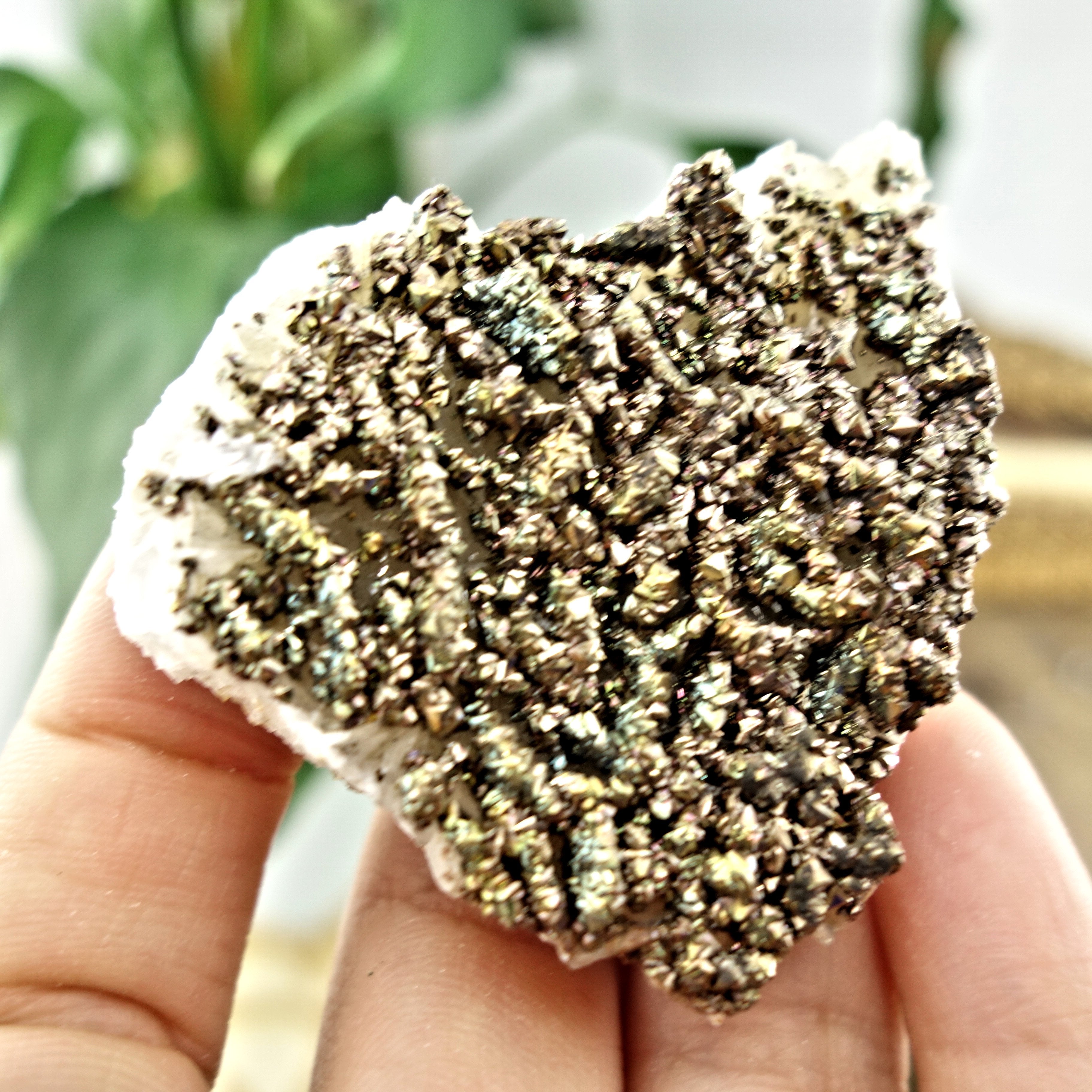 Shimmering Natural Chalcopyrite Specimen On Quartz Matrix 2