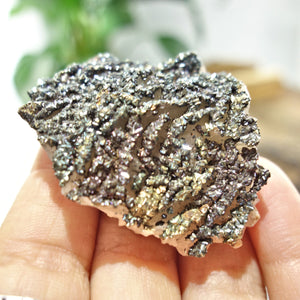 Shimmering Natural Chalcopyrite Specimen On Quartz Matrix 3