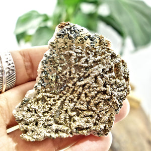 Shimmering Natural Chalcopyrite Specimen On Quartz Matrix 1