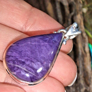 Unusual Solid Color Deep Purple Charoite Pendant in Sterling Silver (Includes Silver Chain) - Earth Family Crystals