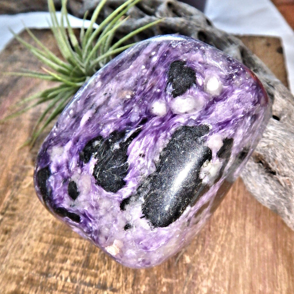 Divine Silky Deep Grape Purple Large Charoite Free Form Specimen1 - Earth Family Crystals