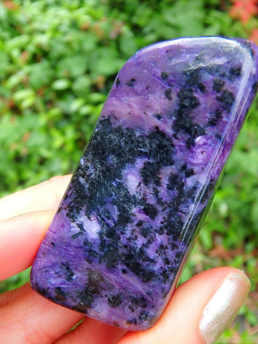 Deep Purple Charoite Free Form Specimen 1 - Earth Family Crystals