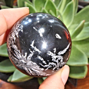 White Flower Patterns Chrysanthemum Stone Sphere - Earth Family Crystals