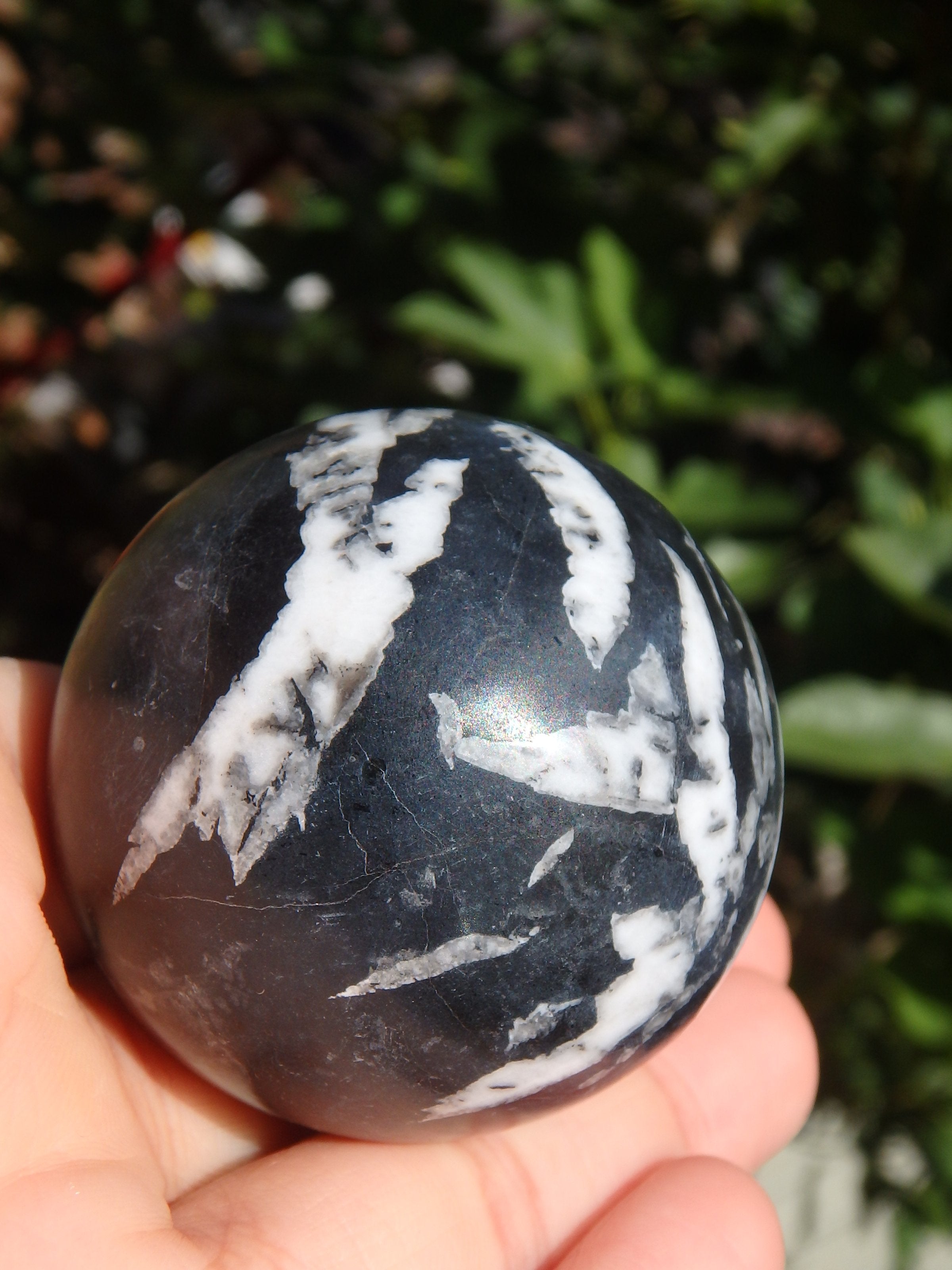 Unique Chrysanthemum Stone Sphere Carving - Earth Family Crystals