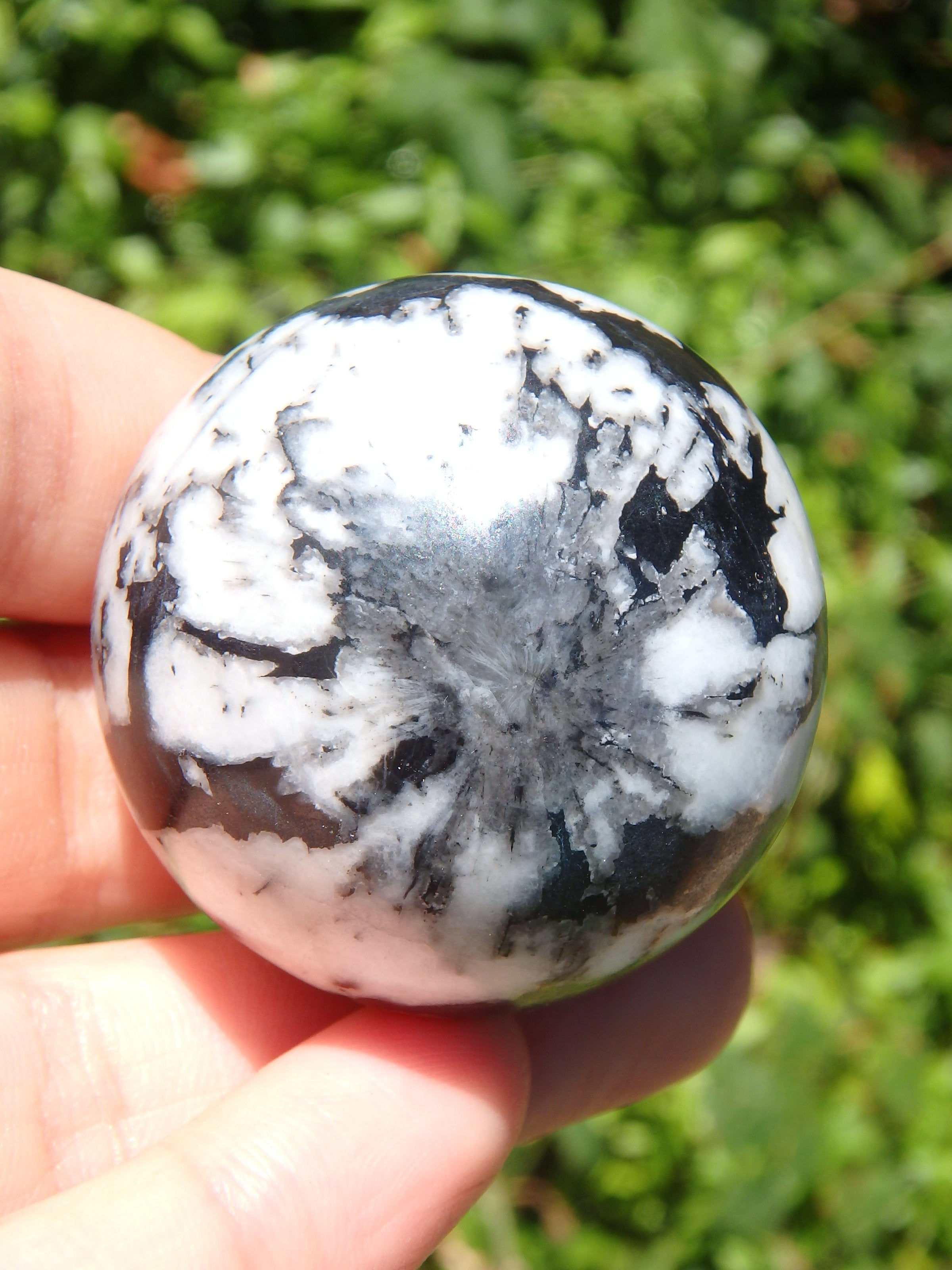 Fabulous Patterns Chrysanthemum Stone Sphere Carving - Earth Family Crystals