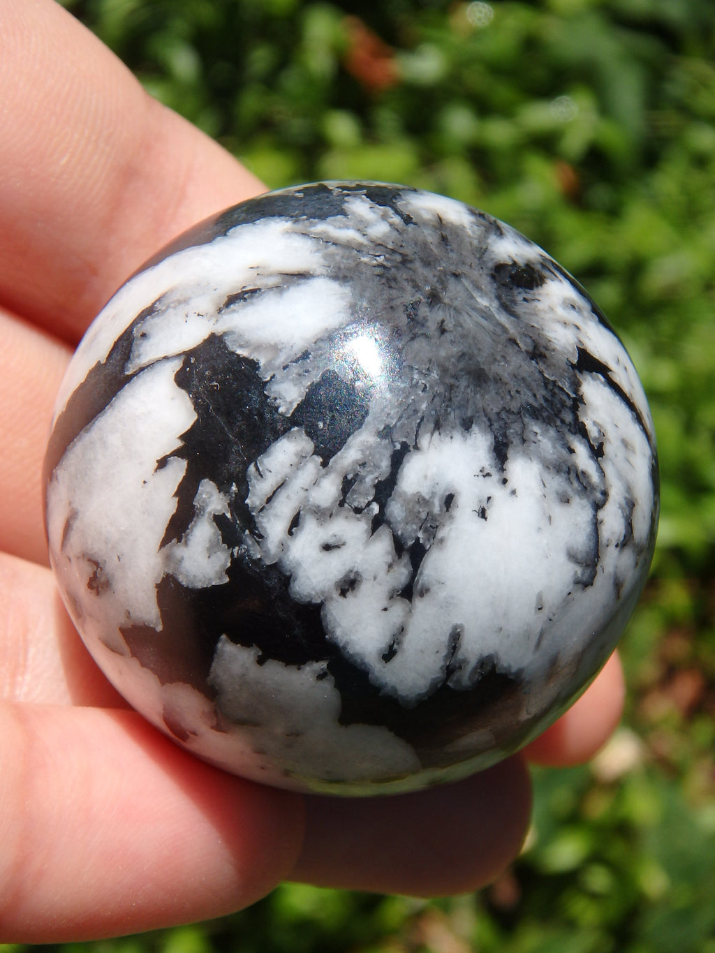 Fabulous Patterns Chrysanthemum Stone Sphere Carving - Earth Family Crystals
