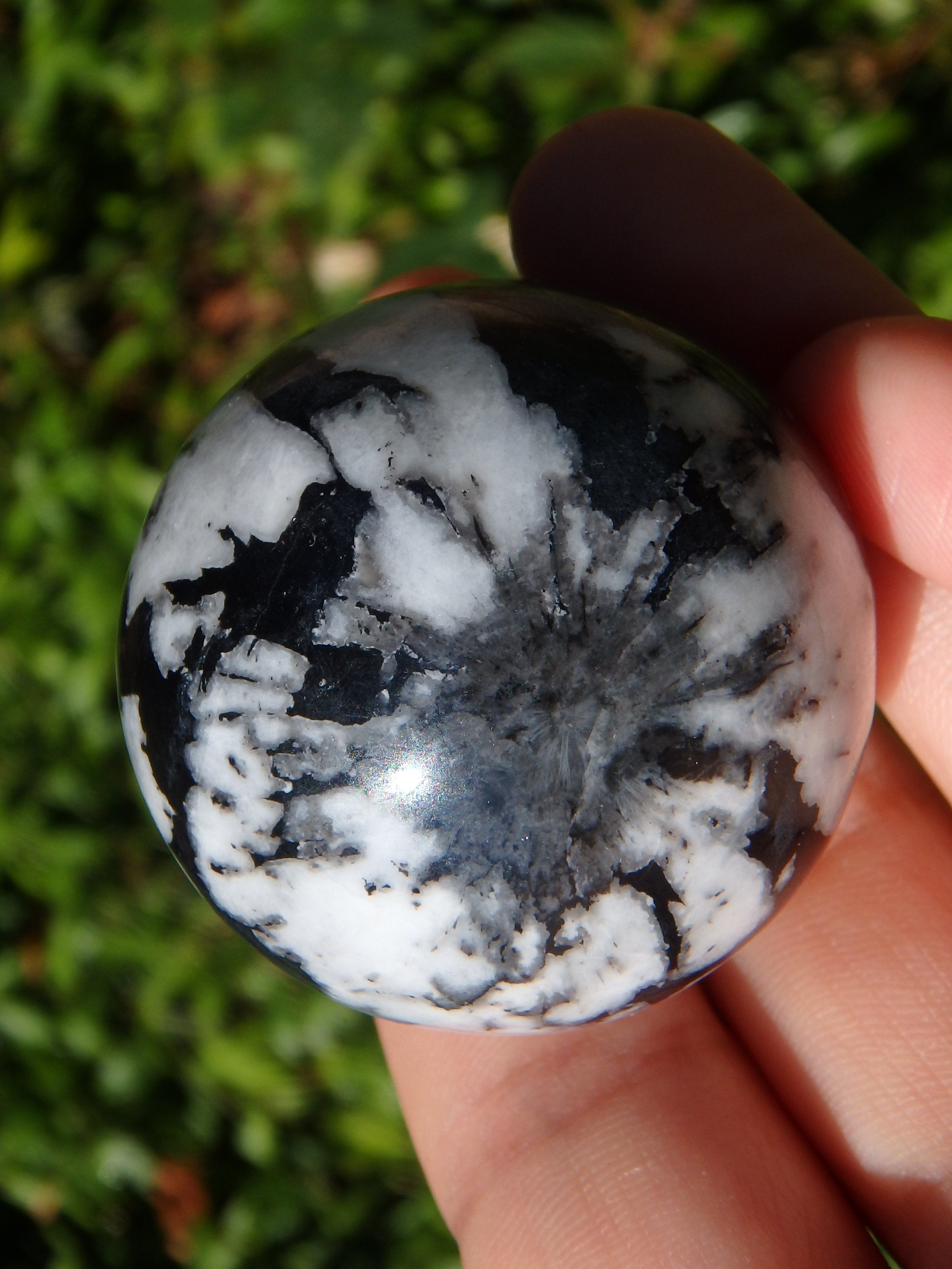 Fabulous Patterns Chrysanthemum Stone Sphere Carving - Earth Family Crystals