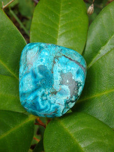 Beautiful Robin Egg Blue Chrysocolla Palm Stone From Peru - Earth Family Crystals