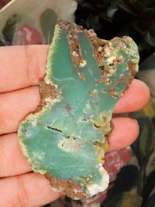 Australian Deep Green Chrysoprase Free Form Partially Polished Slice - Earth Family Crystals