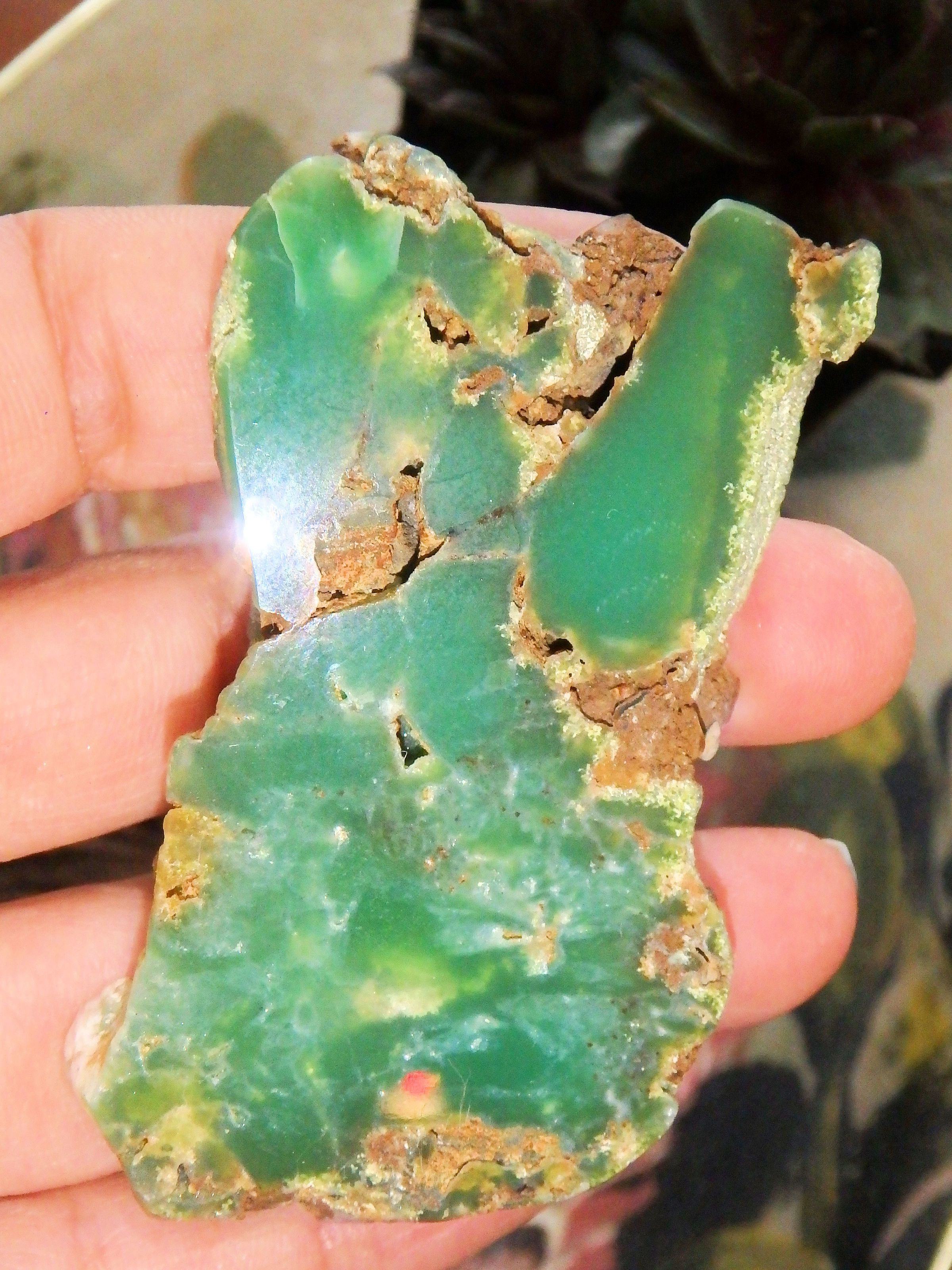 Australian Deep Green Chrysoprase Free Form Partially Polished Slice - Earth Family Crystals