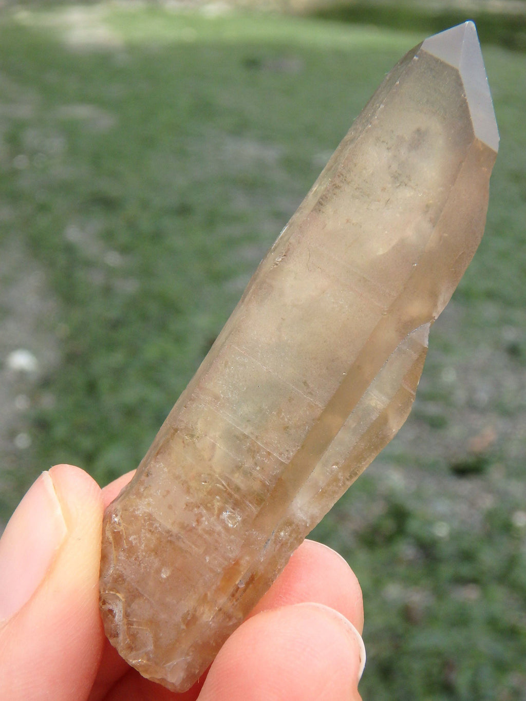 Completely Natural Citrine Point Specimen - Earth Family Crystals