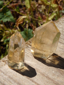 Set of 2~Gorgeous Natural Citrine Mini Polished Standing Generators