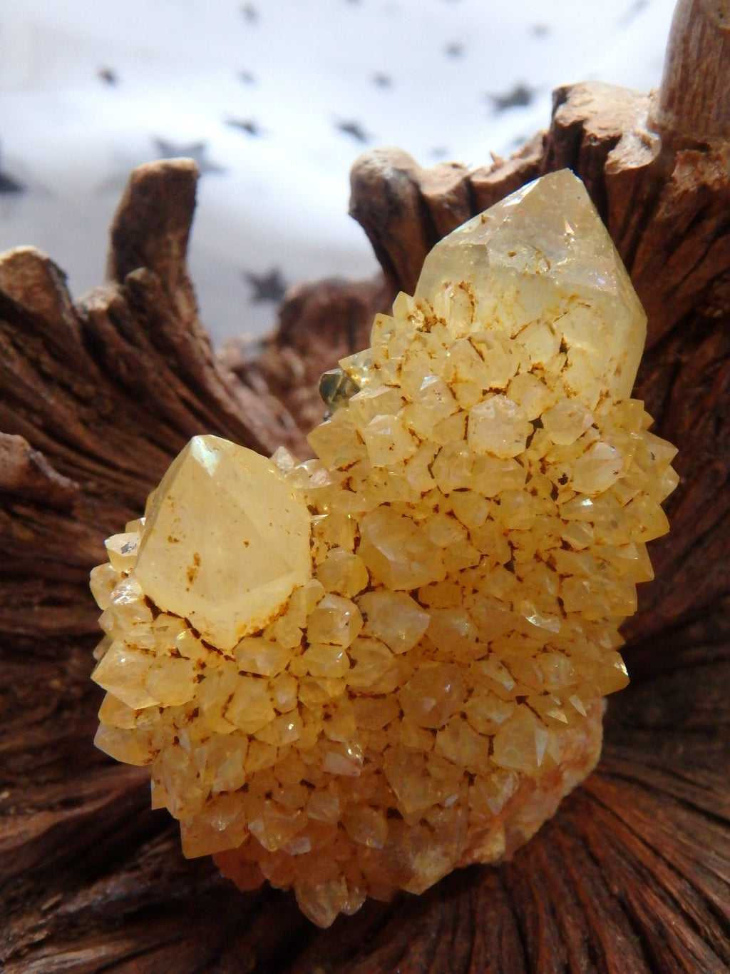 Cute Natural Golden Sparkle Citrine Spirit Quartz Cluster From South Africa - Earth Family Crystals
