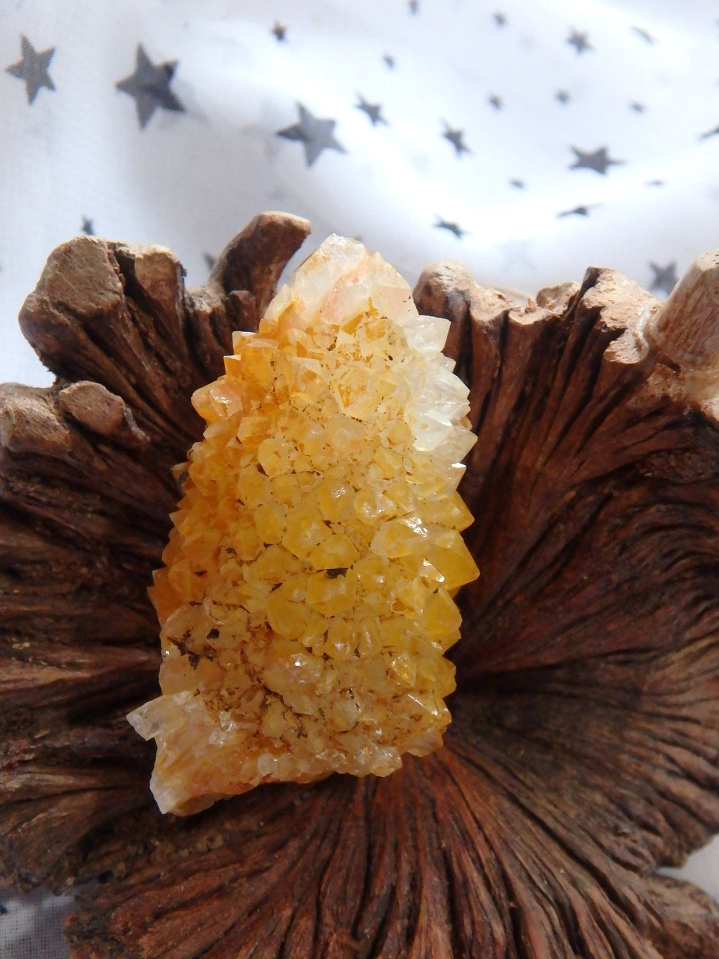 Cute Natural Golden Sparkle Citrine Spirit Quartz Point From South Africa - Earth Family Crystals
