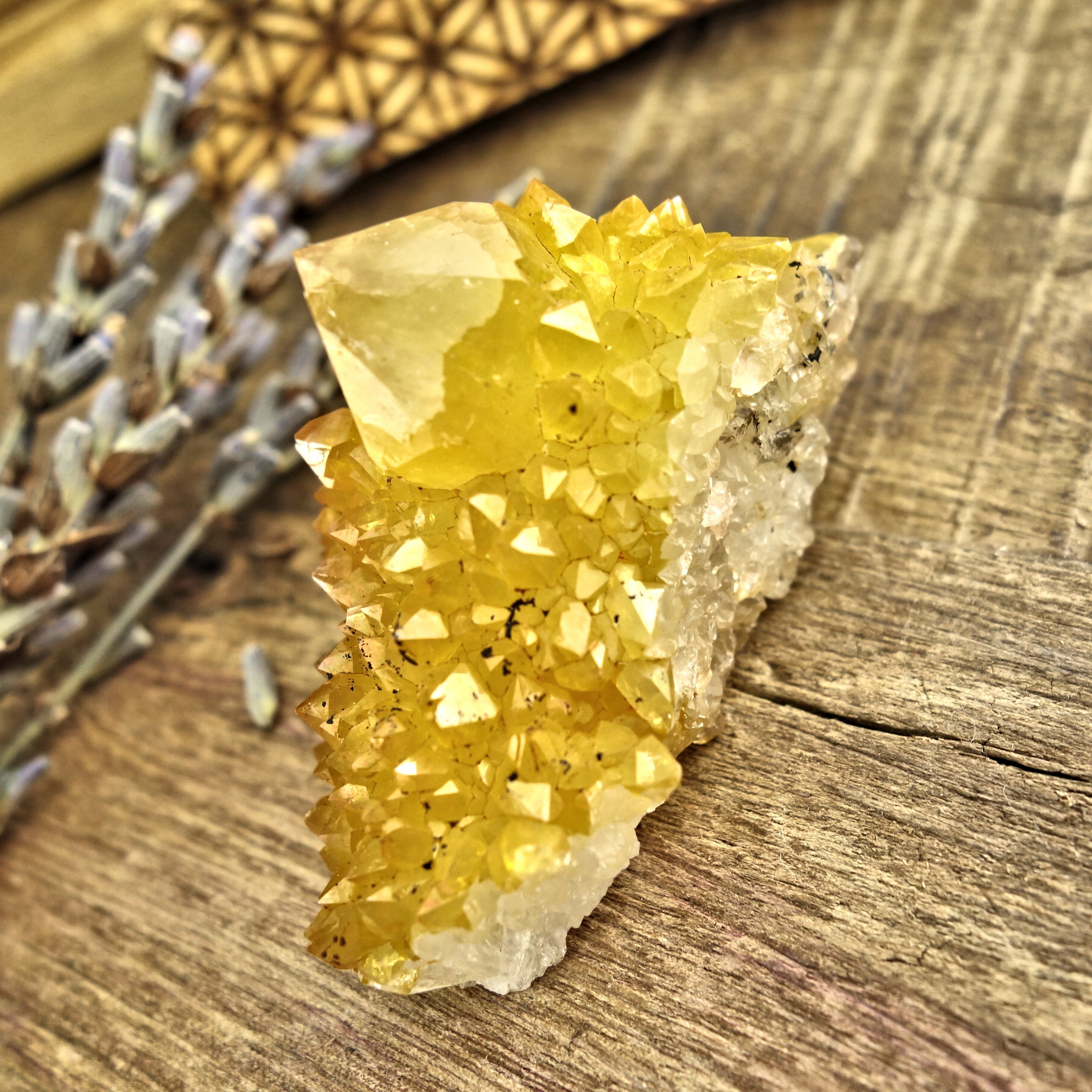 Sparkling Natural Golden Citrine Spirit Quartz Cluster From South Africa1