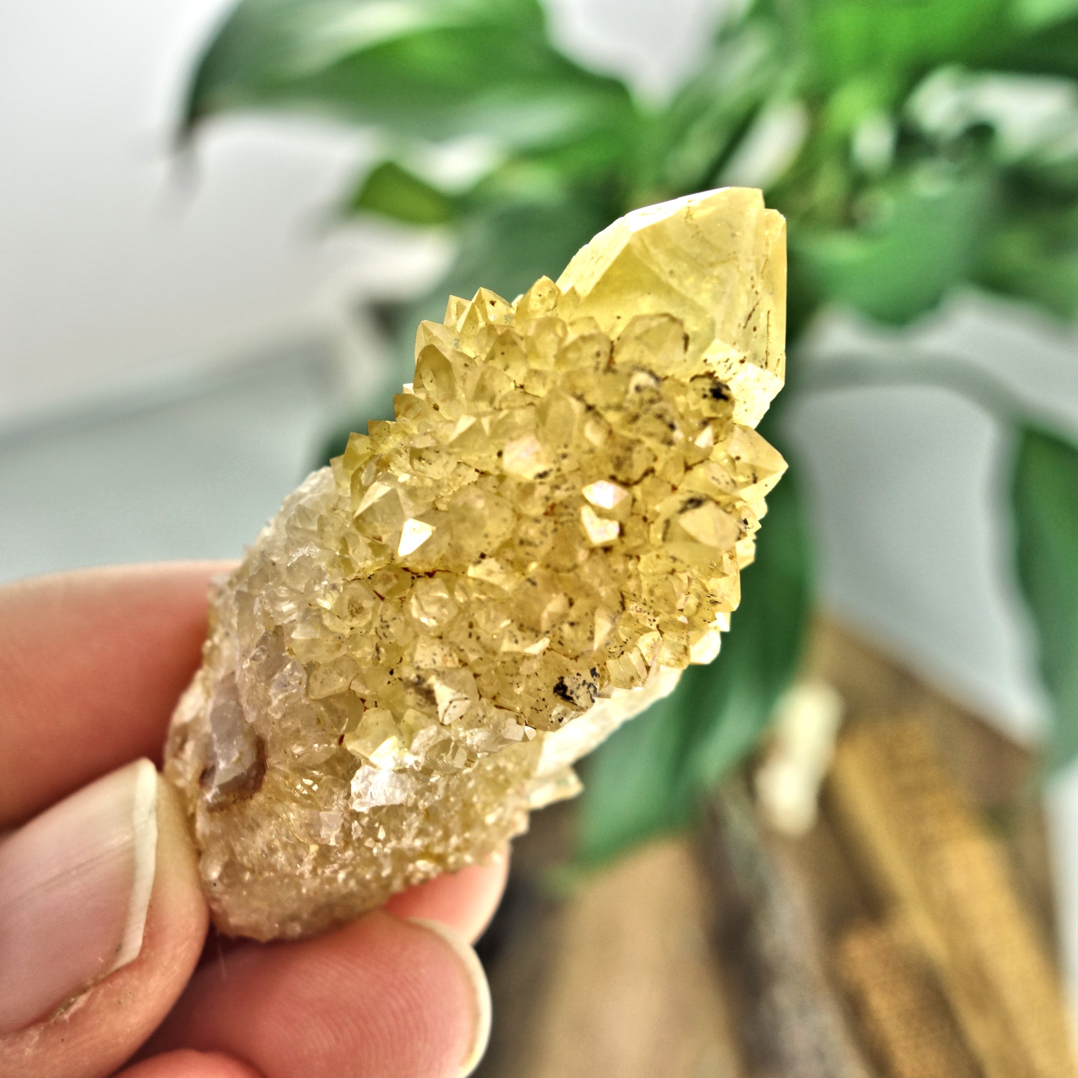 Sparkling Natural Golden Citrine Spirit Quartz Point From South Africa3